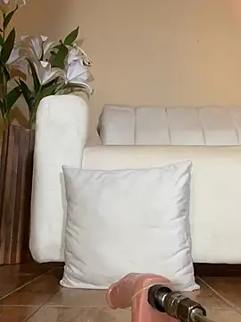 RedVelvet Dream online show from 01.07.26