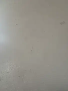 diamondunleashes online show from 04.20.26