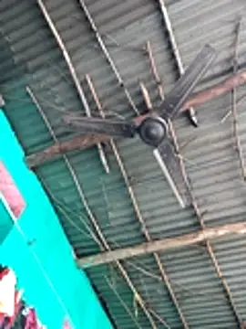 Pooja750 online show from 12.21.25