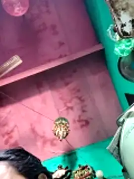 Snapshot of Pooja750 chatting on 04.13.26 Pooja750 online show from 04.13.26