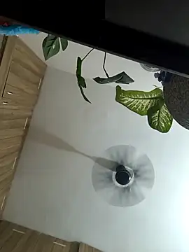 Spoorthi6 Kannada Telugu online show from 03.08.26