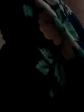 Snapshot of Payal950 chatting on 04.13.26 Payal950 online show from 04.13.26