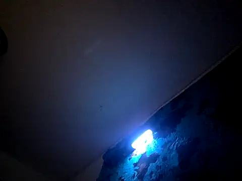 Snapshot of Bigdickdavis6969 chatting on 02.15.26 Bigdickdavis6969 online show from 02.15.26