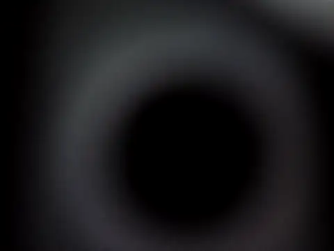 Snapshot of Ricotta1 chatting on 12.21.25 Ricotta1 online show from 12.21.25