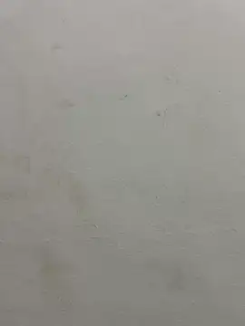 Snapshot of jully-jully chatting on 09.24.25 jully-jully online show from 09.24.25