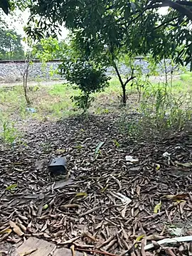 magraocam online show from 04.14.26