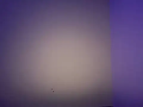 LustyDuoSecrets online show from 11.11.25