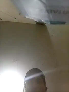 Bebicho14 online show from 09.14.25