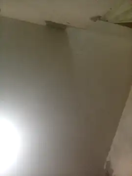 Bebicho14 online show from 04.03.26