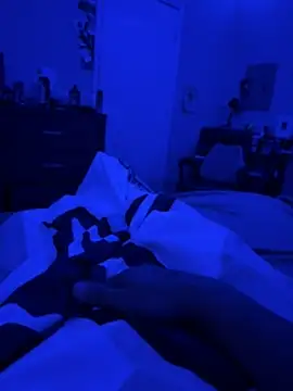 Snapshot of Dub373 chatting on 11.04.25 Dub373 online show from 11.04.25