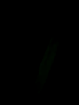 Snapshot of Marleymols chatting on 12.02.25 Marleymols online show from 12.02.25