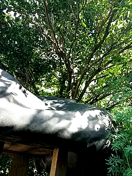 AlphaAlterX online show from 12.16.25