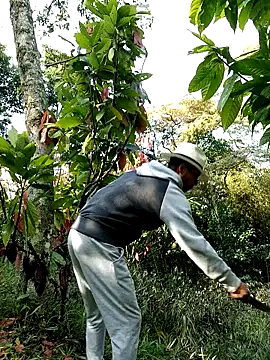 AlphaAlterX online show from 02.28.26