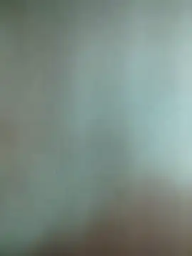 Novin23cms online show from 01.16.26