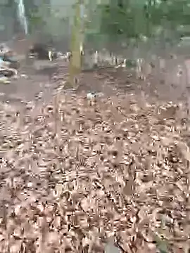 Snapshot of andymatthisbwc chatting on 02.25.26 andymatthisbwc online show from 02.25.26