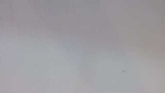 Snapshot of kiity_horny_ chatting on 09.30.25 kiity horny online show from 09.30.25