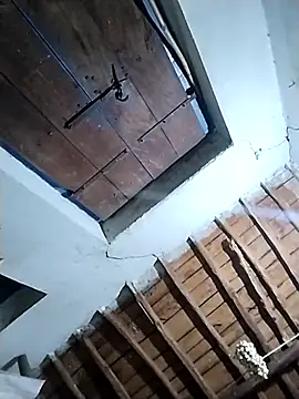 telugu pellam online show from 02.11.26