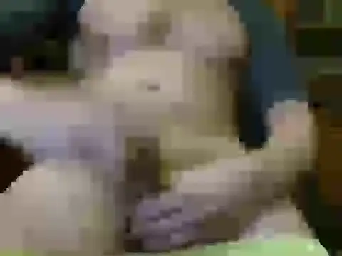 italian max sex online show from 11.21.25