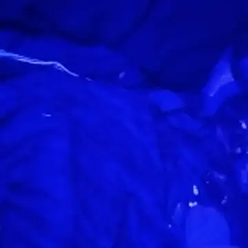 johnboones10 online show from 03.04.26