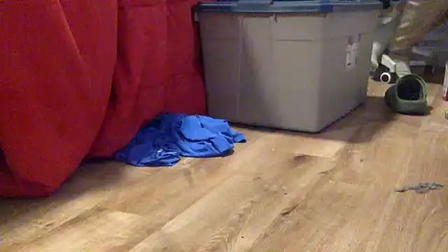 edger4lif3 online show from 09.19.25