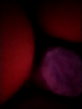 Snapshot of _tetas_92 chatting on 04.21.26 tetas 92 online show from 04.21.26