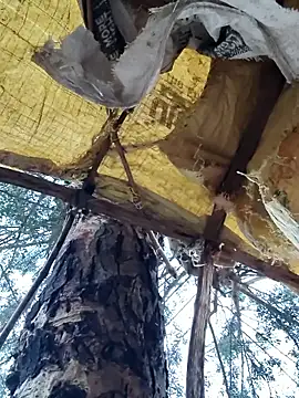 Janvi Jaitly online show from 11.23.25