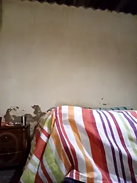 average price online show from 11.12.25