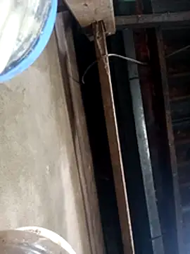 siki-00 online show from 10.21.25