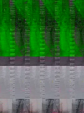 Mamta cut25A online show from 10.06.25