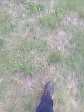 Snapshot of Pondo10 chatting on 11.13.25 Pondo10 online show from 11.13.25