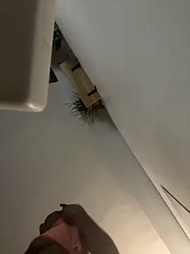 littyleesh1 online show from 04.14.26