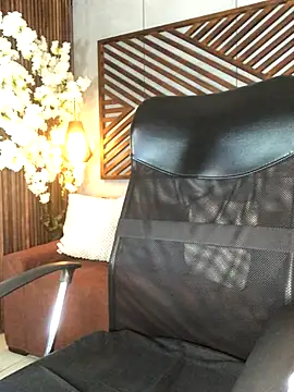 B Wild online show from 11.14.25