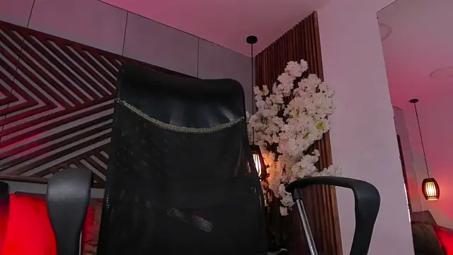 B Wild online show from 12.17.25