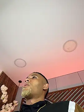 B Wild online show from 02.03.26