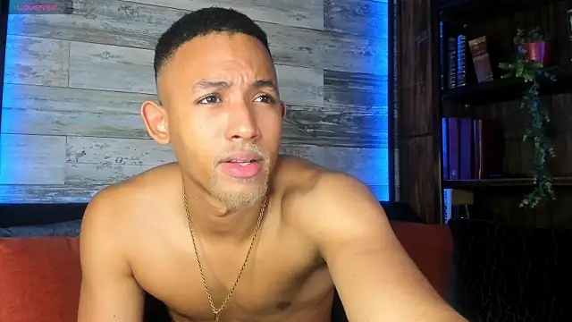 B Wild online show from 03.26.26