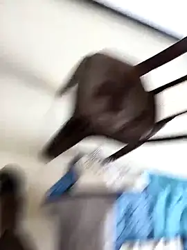 Snapshot of Chanderi19 chatting on 09.30.25 Chanderi19 online show from 09.30.25