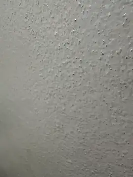 Wild-Nayra online show from 10.04.25