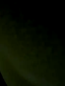 Wild-Nayra online show from 10.19.25