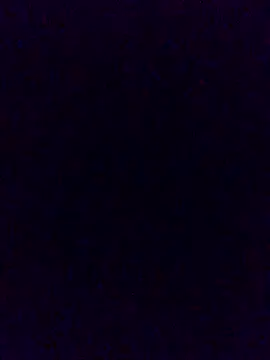 Cachorrinha2025 online show from 11.21.25