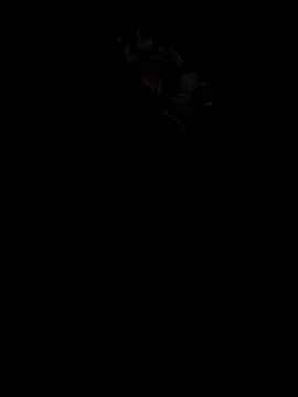 UnhopedDear online show from 03.25.26