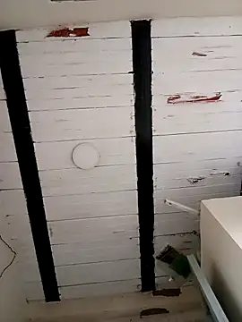 zamir adam online show from 10.27.25