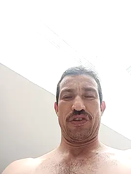 zamir adam online show from 11.06.25