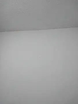 LaraStons online show from 11.10.25