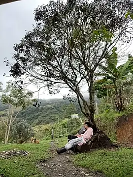 sky-wolves online show from 10.18.25