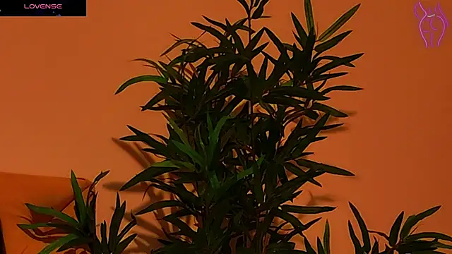 CoraVex online show from 09.25.25