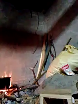 donna-bae online show from 03.22.26