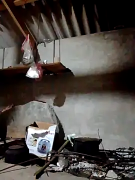 donna-bae online show from 04.12.26