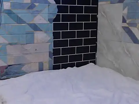 Newt4U online show from 11.11.25