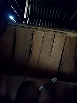 callistra online show from 10.06.25