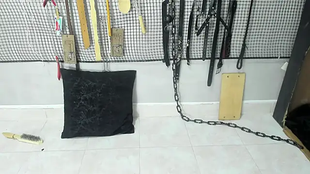 Snapshot of BDSM_MEDUZA chatting on 02.15.26 BDSM MEDUZA online show from 02.15.26